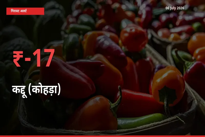 अचानक झटका! मंडी में कद्दू (कोहड़ा) के दाम 17.26% टूटे