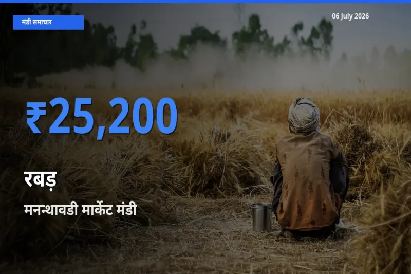 टॉप मंडी बना मनन्थावडी मार्केट! रबड़ के सबसे ऊँचे दाम यहीं दर्ज