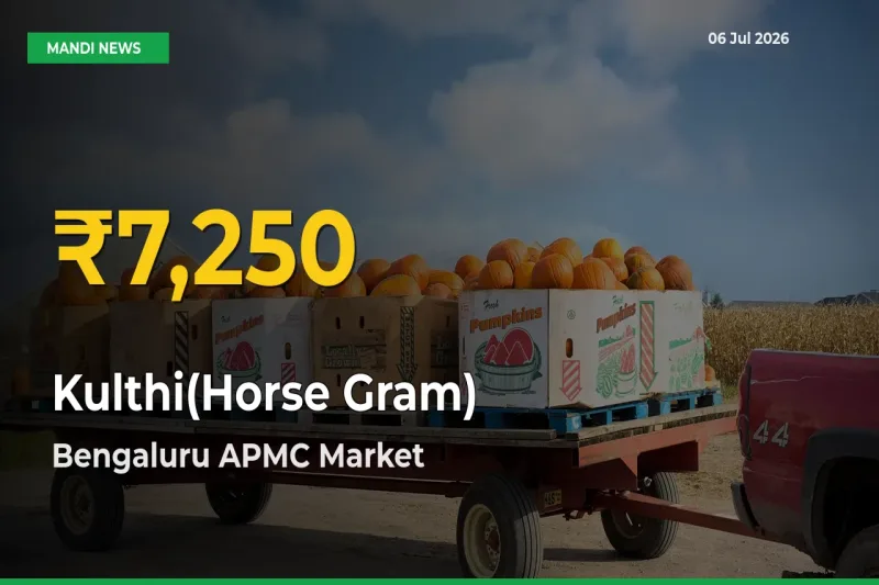 Kulthi(Horse Gram) Price Hits New High in Bengaluru APMC Today – Check Latest Mandi Rates