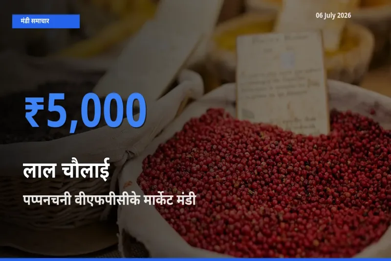 किसानों की पसंद बना पप्पनचनी वीएफपीसीके मार्केट, लाल चौलाई के सबसे अच्छे दाम