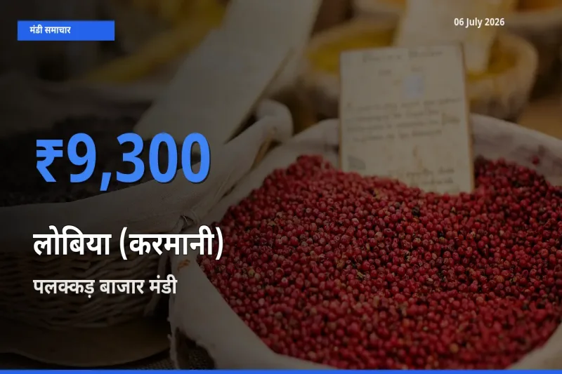 पलक्कड़ बाजार में लोबिया (करमानी) का आज सबसे ऊँचा भाव