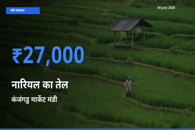 06 July अपडेट: नारियल का तेल के सबसे ऊँचे दाम कंजंगडु मार्केट मंडी में