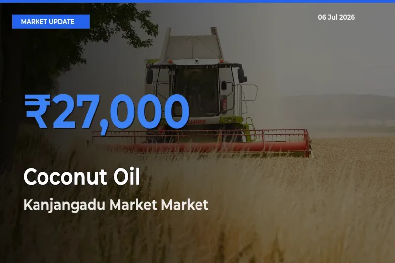 Kanjangadu Market Emerges as Top Mandi for Coconut Oil Prices Today