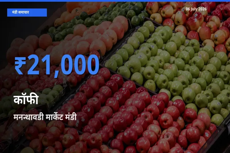 आज का मंडी भाव: कॉफी के सबसे ज़्यादा दाम मनन्थावडी मार्केट में
