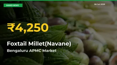 Foxtail Millet(Navane) Prices Soar to Record High in Bengaluru APMC – Farmers Alert Today