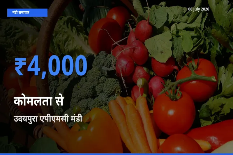 उदयपुरा एपीएमसी में कोमलता से का आज सबसे ऊँचा भाव