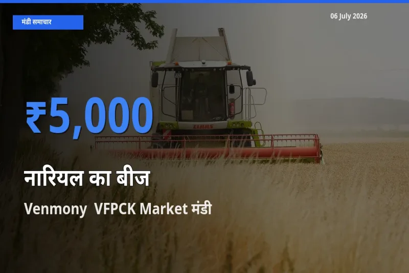 Venmony  VFPCK Market में नारियल का बीज का आज सबसे ऊँचा भाव