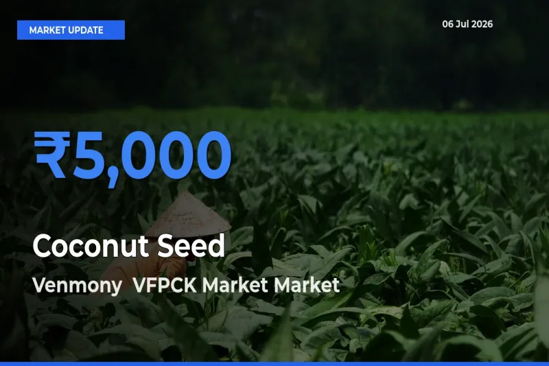 Venmony VFPCK Market Tops Coconut Seed Rates – July 06 Market Update