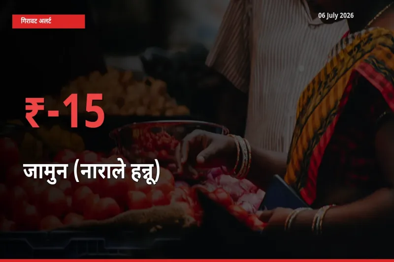 जामुन (नाराले हन्नू) के दाम प्रमुख मंडी में 15.06% गिरे, 24 घंटे में बड़ा बदलाव
