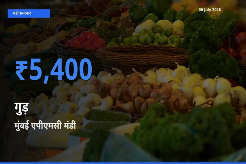 मुंबई एपीएमसी मंडी में गुड़ ₹5,400 पर पहुँचा – आज का सर्वोच्च भाव
