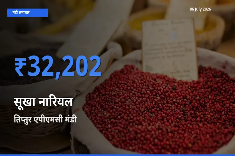 06 July अपडेट: सूखा नारियल के सबसे ऊँचे दाम तिप्तुर एपीएमसी मंडी में