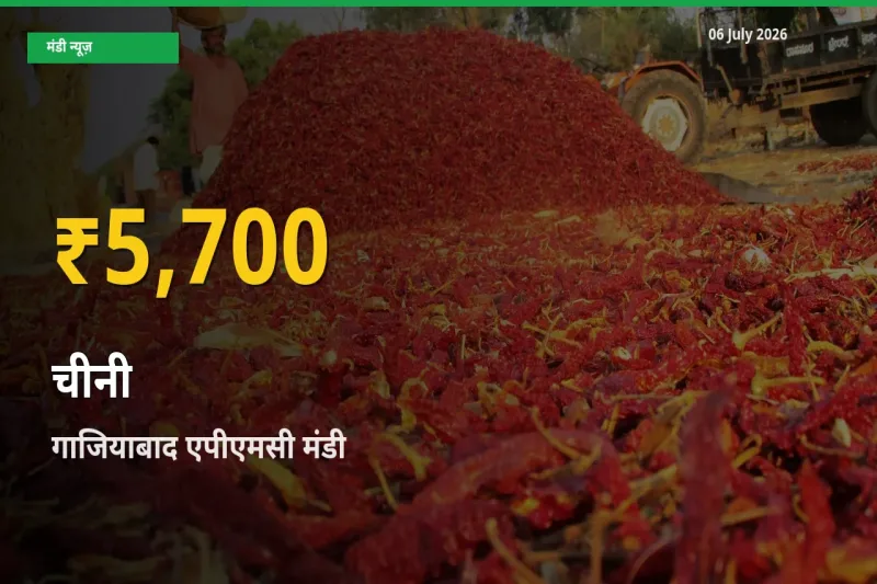 रिकॉर्ड तेज़ी! गाजियाबाद एपीएमसी में चीनी ₹5,700 पर पहुँचा