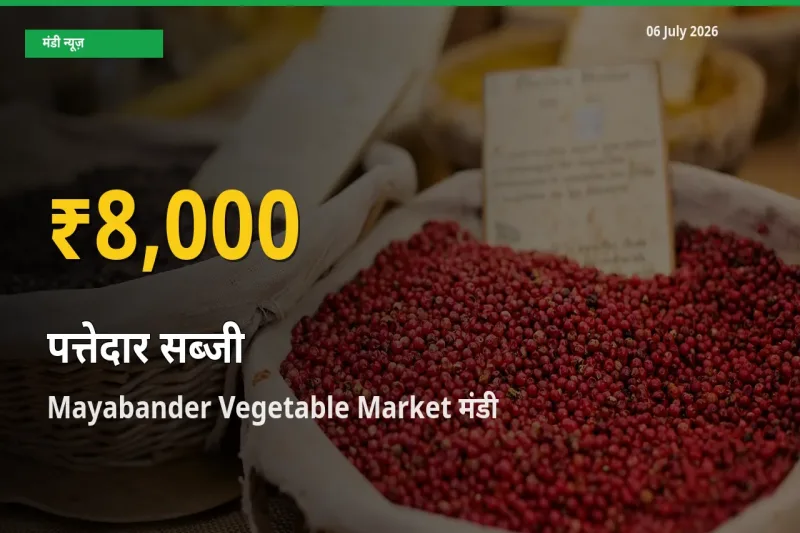 Mayabander Vegetable Market में पत्तेदार सब्जी ₹8,000 पर पहुँचा – अब तक का उच्चतम भाव