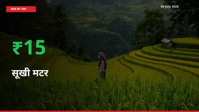 सूखी मटर के दाम प्रमुख मंडी में 15.44% बढ़े, 24 घंटे में बड़ा बदलाव