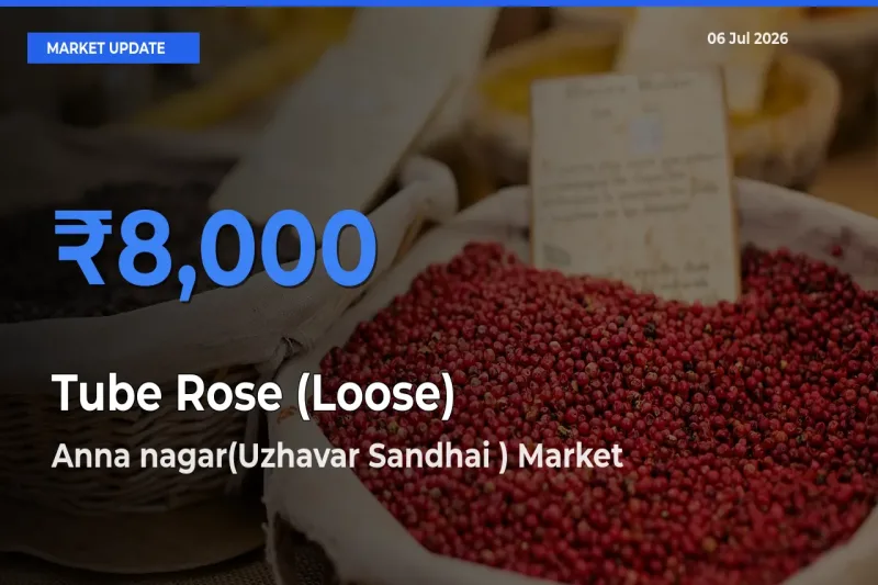 Anna nagar(Uzhavar Sandhai ) Tops Tube Rose (Loose) Rates – July 06 Market Update