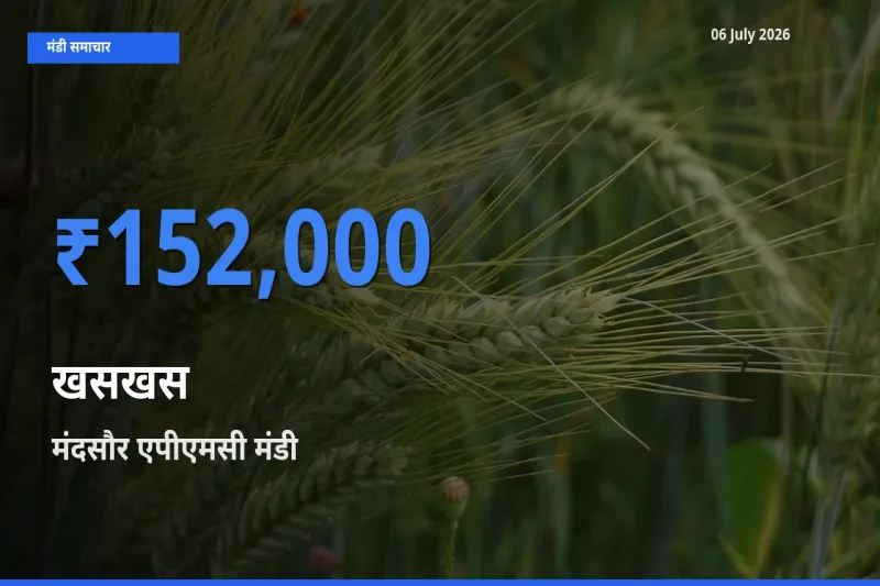 मंदसौर एपीएमसी मंडी में खसखस ₹152,000 पर पहुँचा – आज का सर्वोच्च भाव