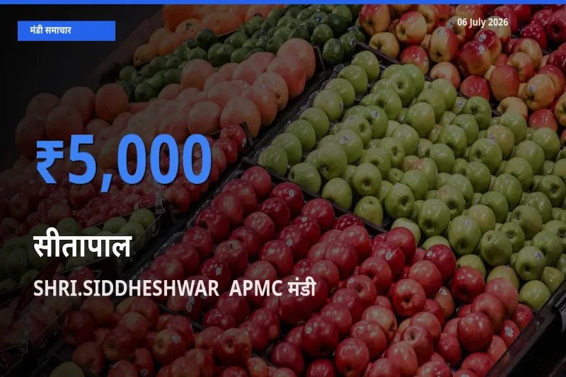 किसानों की पसंद बना SHRI.SIDDHESHWAR  APMC, सीतापाल के सबसे अच्छे दाम