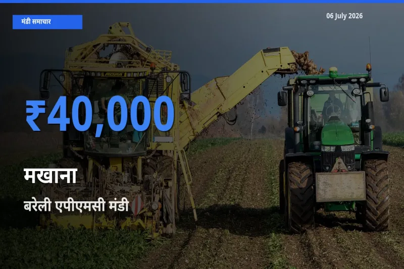 06 July अपडेट: मखाना के सबसे ऊँचे दाम बरेली एपीएमसी मंडी में