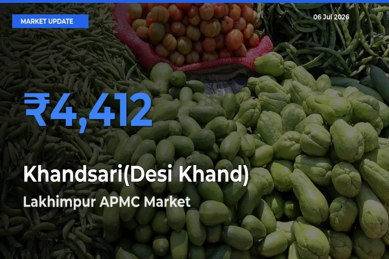 Khandsari(Desi Khand) Mandi Rate Today: Lakhimpur APMC Tops the List
