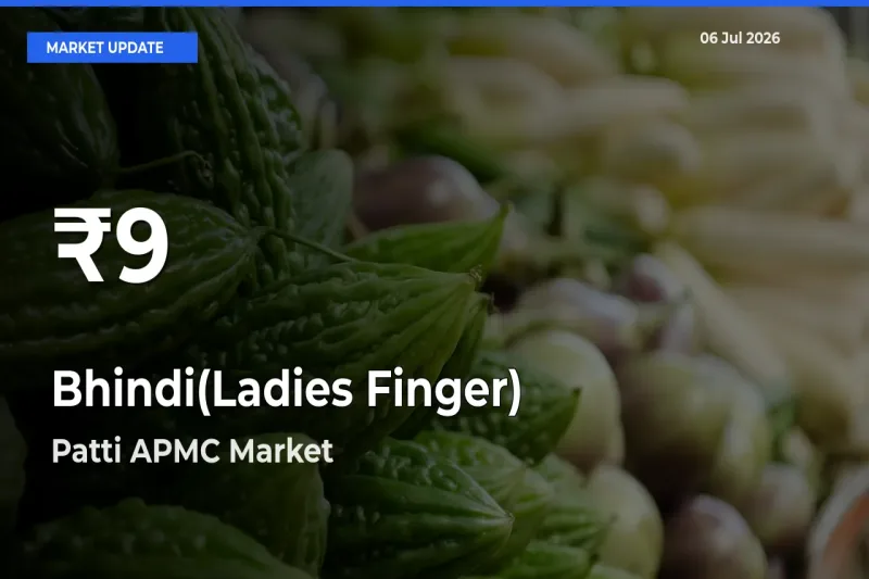 Big Drop! Bhindi(Ladies Finger) Slides to 30-Day Low at Patti APMC