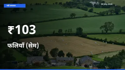 आज का मंडी ट्रेंड: फलियाँ (सेम) के दाम कई बाजारों में एक साथ बदले