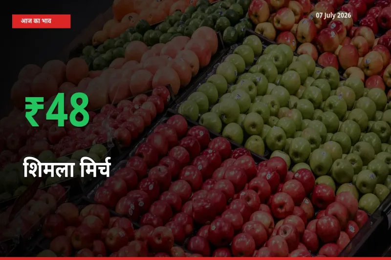 स्थानीय मंडी में शिमला मिर्च के दाम अचानक 47.92% उछले, किसान सतर्क