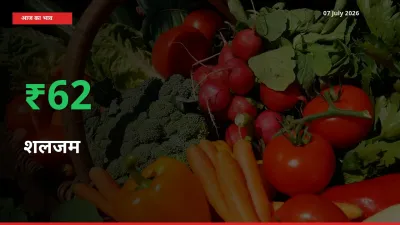 आज का मंडी भाव: शलजम के दाम मंडी में 62.3% ऊपर