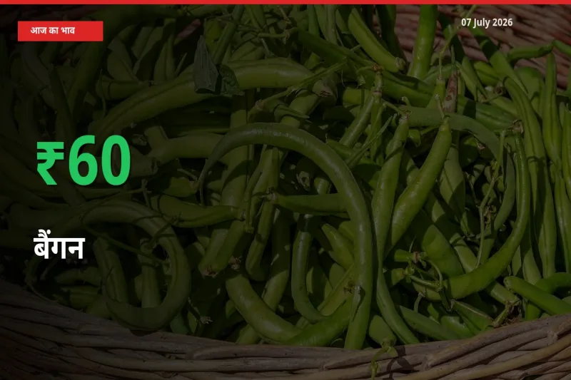 बैंगन 60.4% उछला, मंडी