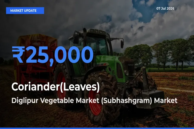 Top Performer! Diglipur Vegetable Market (Subhashgram) Offers Best Coriander(Leaves) Price Today