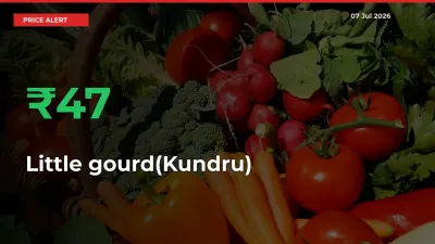 Little gourd(Kundru) Prices Rise 47.32% in a Day at Major Mandis