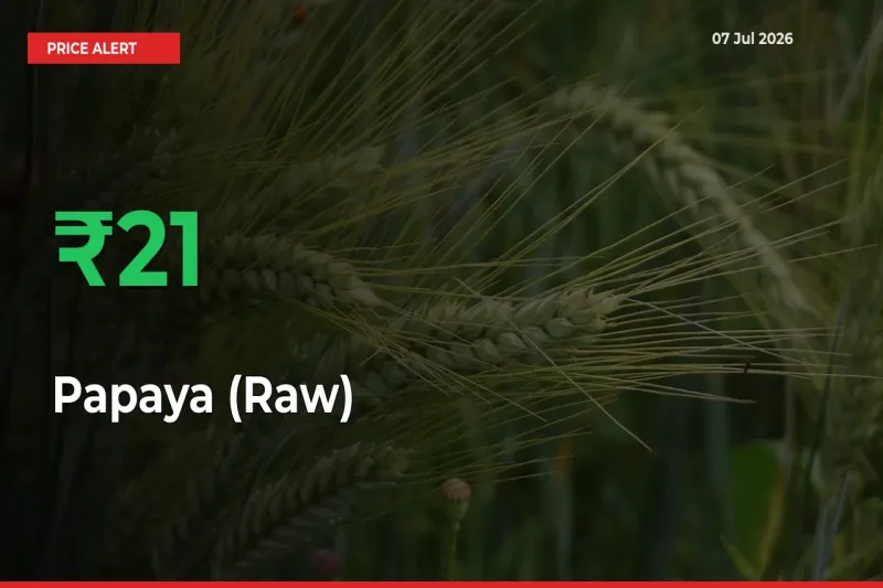 Papaya (Raw) Prices Rise 21.48% in a Day at Major Mandis