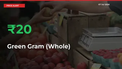 Sharp Jump! Green Gram (Whole) Prices Climb 20.15% in 24 Hours at Key Mandis