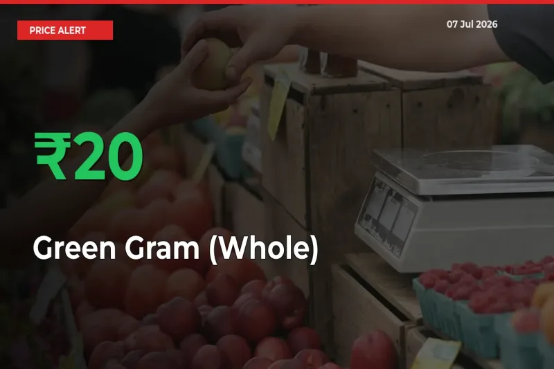 Sharp Jump! Green Gram (Whole) Prices Climb 20.15% in 24 Hours at Key Mandis