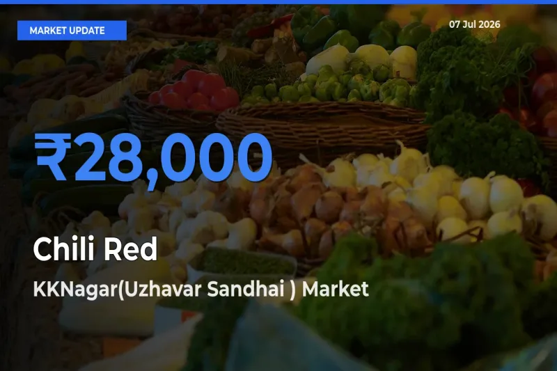 KKNagar(Uzhavar Sandhai ) Leads as Top Mandi for Chili Red Prices
