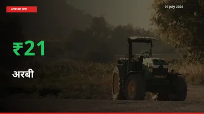 आज का मंडी भाव: अरबी के दाम मंडी में 20.51% ऊपर