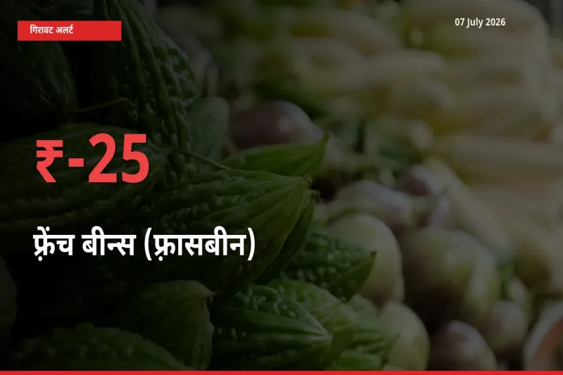 बाज़ार संकेत: फ़्रेंच बीन्स (फ़्रासबीन) के भाव मंडी में 24.62% नीचे