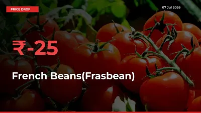 This Mandi Records 24.62% Fall in French Beans(Frasbean) Prices
