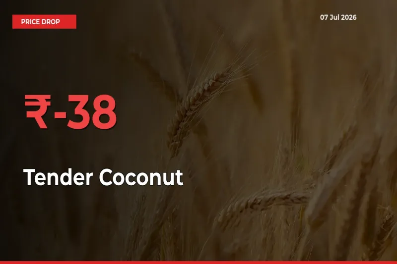 This Mandi Records 37.52% Fall in Tender Coconut Prices