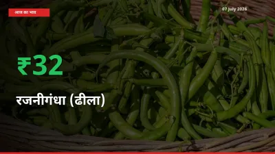 स्थानीय मंडी में रजनीगंधा (ढीला) के दाम अचानक 31.67% उछले, किसान सतर्क