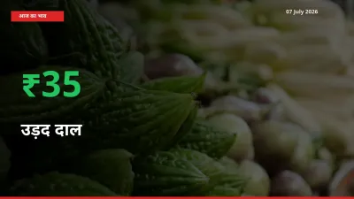 07 July अपडेट: उड़द दाल के दाम मंडी में 34.58% उछले