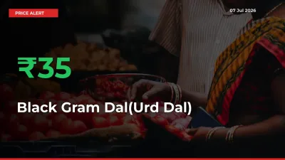 34.58% Spike in Black Gram Dal(Urd Dal) Prices – Mandi Sees Sudden Rally