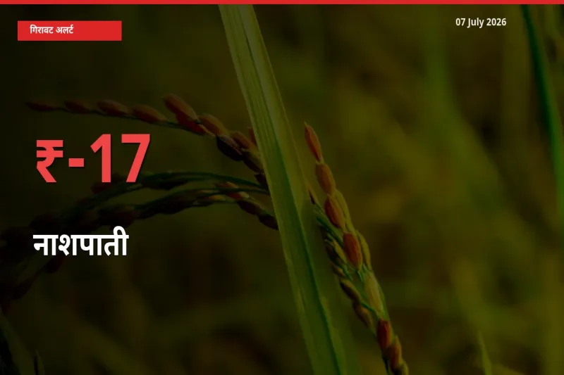 किसानों की चिंता बढ़ी! स्थानीय मंडी में नाशपाती 16.85% गिरा