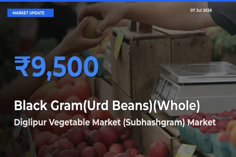 Farmers Prefer Diglipur Vegetable Market (Subhashgram) as Black Gram(Urd Beans)(Whole) Hits Highest Rate
