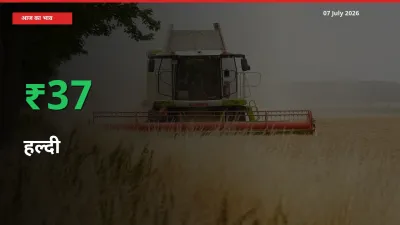 07 July अपडेट: हल्दी के दाम मंडी में 36.75% उछले