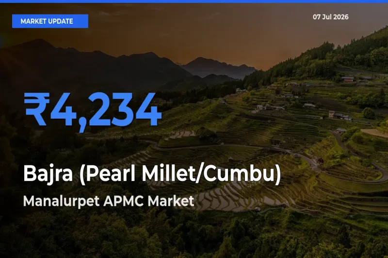 Manalurpet APMC Tops Bajra (Pearl Millet/Cumbu) Mandi Rates Today