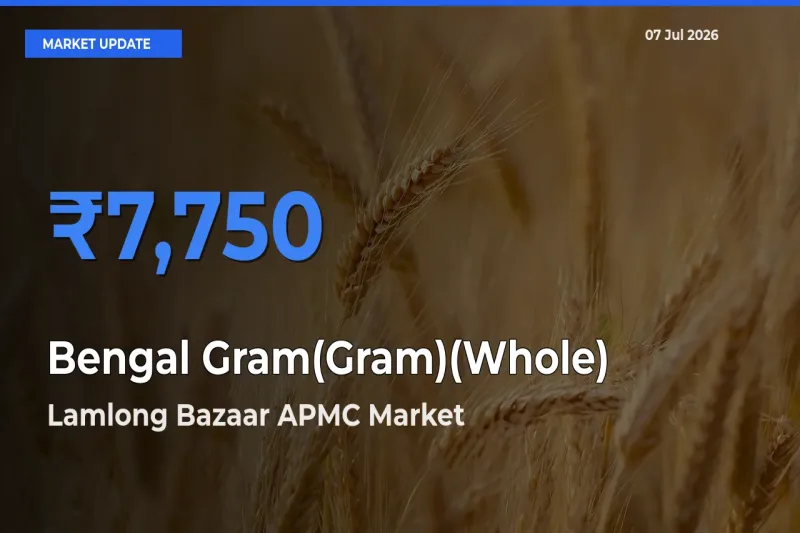 Lamlong Bazaar APMC Emerges as Top Mandi for Bengal Gram(Gram)(Whole) Prices Today