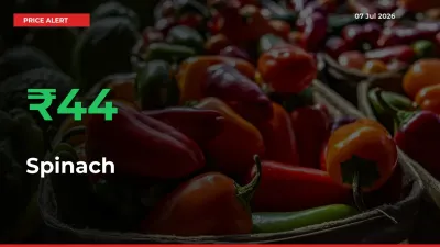Spinach Mandi Rate Today: Prices Jump 43.78% at Market
