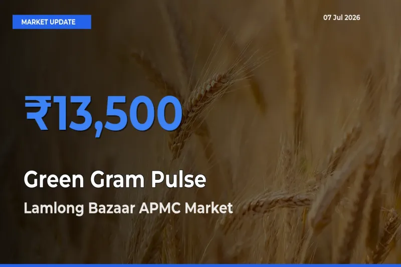 Lamlong Bazaar APMC Emerges as Top Mandi for Green Gram Pulse Prices Today