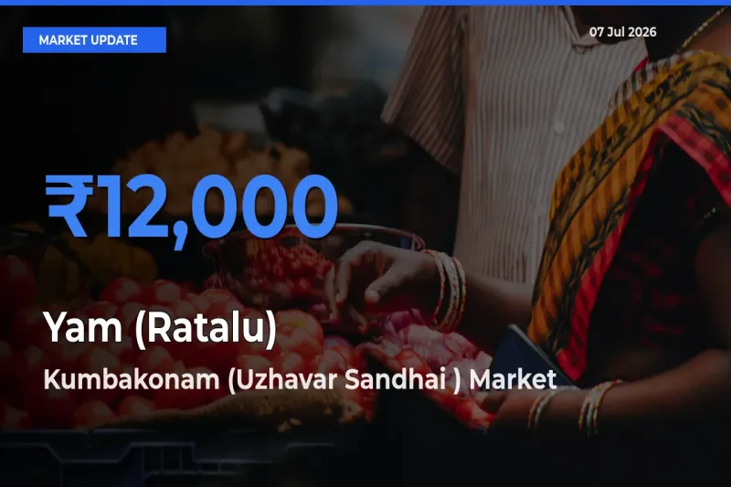 Kumbakonam (Uzhavar Sandhai ) Leads as Top Mandi for Yam (Ratalu) Prices