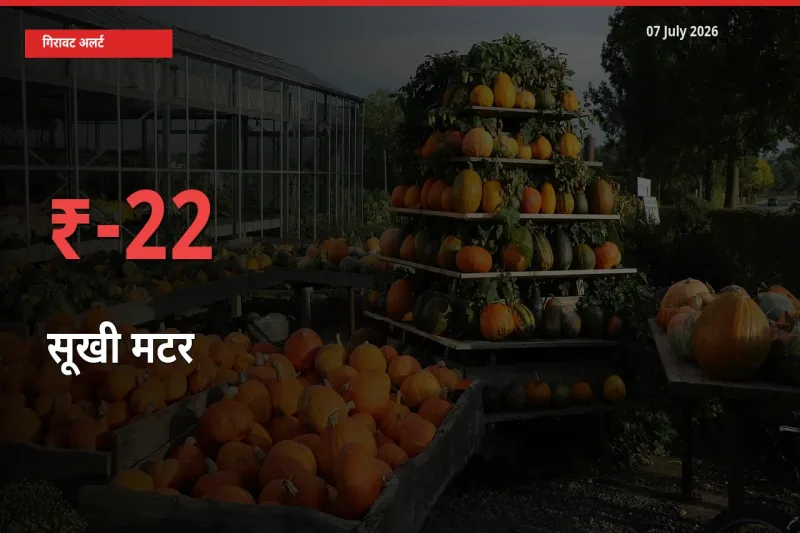 बाज़ार संकेत: सूखी मटर के भाव मंडी में 22.31% नीचे